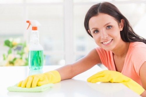 Local commercial cleaning service for offices and business premises in N2