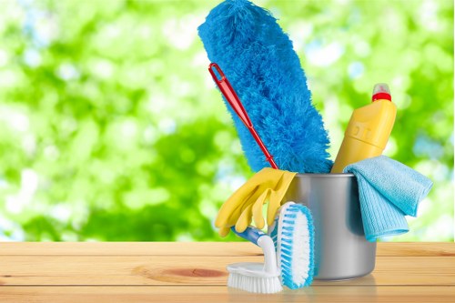 Bathroom deep cleaning as part of an N2 end of tenancy service