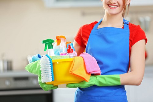 Carpet cleaning team using sustainable practices in N2