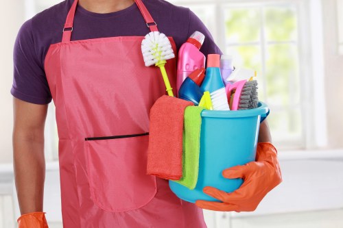 Local house cleaning service for homes in N2