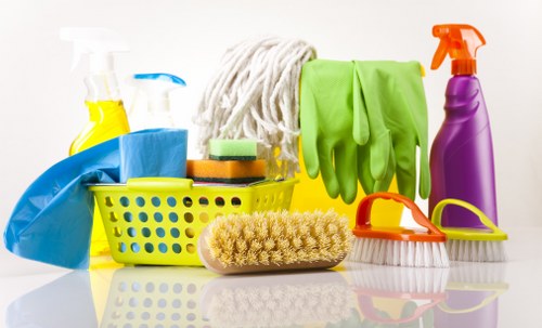 Detailed kitchen cleaning during a move out clean in N2
