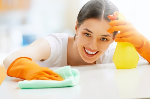 Illustration of accessible Carpet Cleaners N2 service information