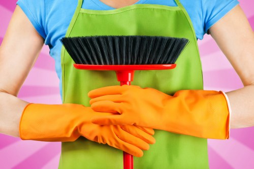 Professional carpet cleaning in a home interior
