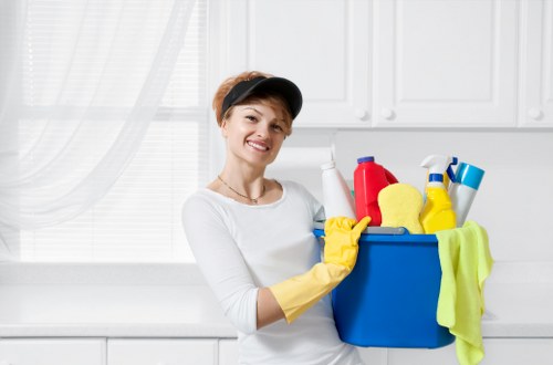 Domestic window cleaning for a flat or apartment in N2
