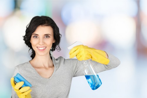 Detailed post-construction cleaning in an N2 property