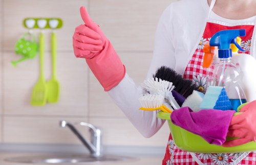 Professional recurring cleaning service for properties across N2