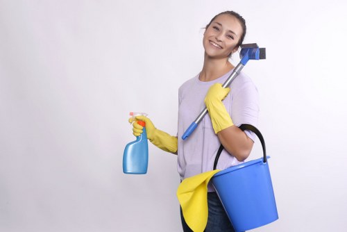 Deep cleaning service for homes in N2