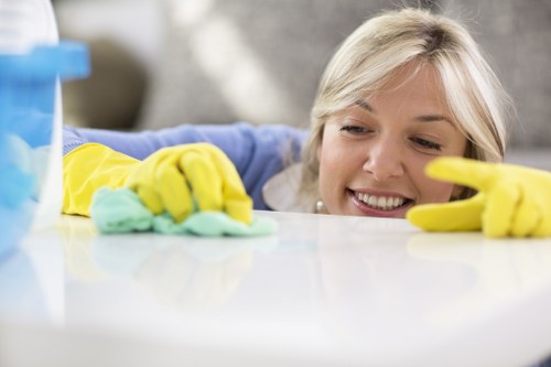 Cleaning and deodorising upholstery affected by pet odour in a local property