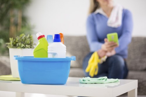 Monitoring responsible supply chains for carpet cleaner services in N2