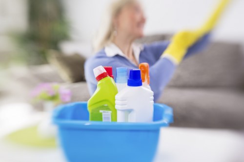 Deep cleaning a family home in N2