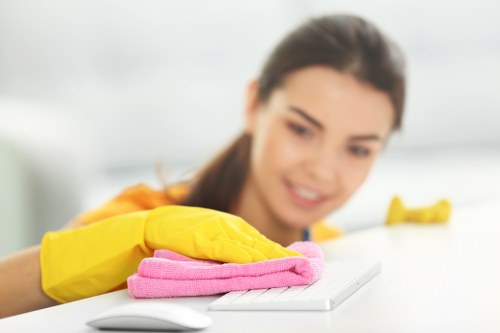 Kitchen cupboard and surface cleaning during a move-in clean in N2