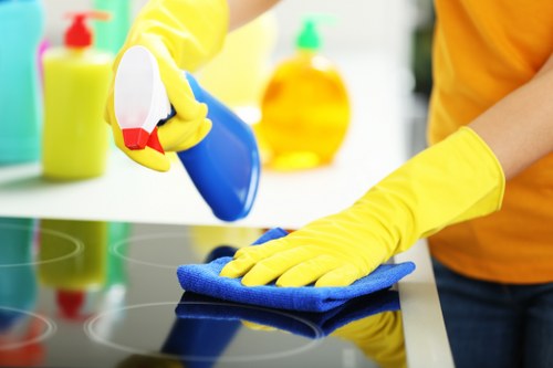 Thorough deep cleaning for North London properties in N2