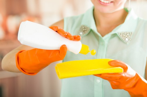 Kitchen and bathroom regular cleaning for a home in N2