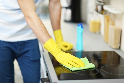 Screen-reader friendly Carpet Cleaners N2 webpage example