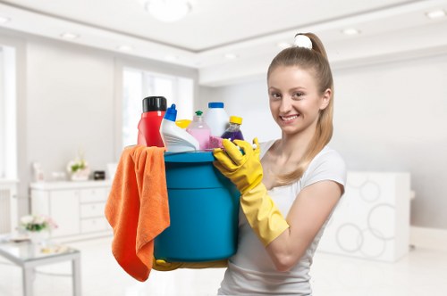 Regular commercial cleaning support for local N2 premises and workplaces