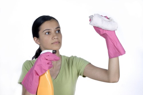 Oven cleaning appointment in a residential property in N2