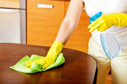 Residential and commercial deep cleaning across N2