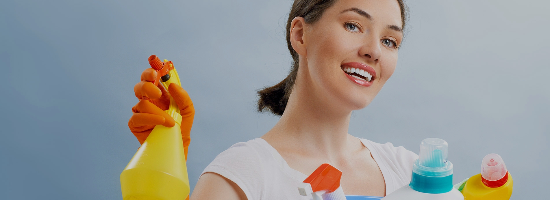 Carpet Cleaners N2